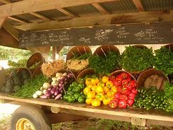 Image result for Fruit Display Farmers Market