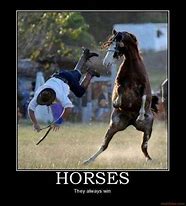 Image result for Horse Funny Cowboy Memes