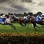 Image result for Horse Racing PC Wallpaper