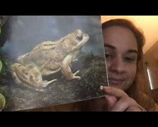 Image result for Frog Chilling