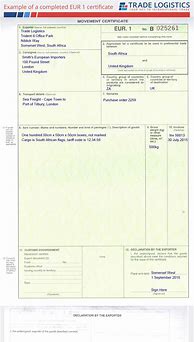 Image result for EUR 1 Form Italy