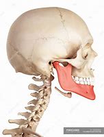 Image result for Where Is the Jawbone