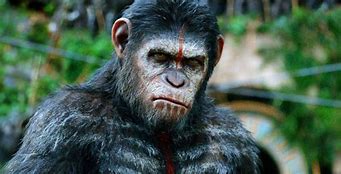 Image result for Pics of Caesar From Planet of the Apes