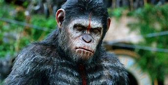 Image result for Planet of the White Apes