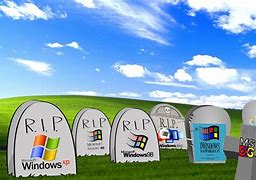 Image result for Windows XD Wallpaper Meme