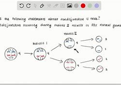 Image result for Red Recombination