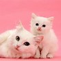 Image result for iPad Wallpaper Cute with Black