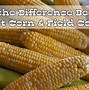 Image result for What Is the Difference Between Corn and Maize