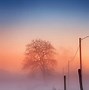 Image result for Beautiful Fog Portrait