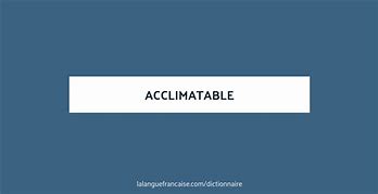 Image result for aclimatsble