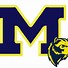 Image result for Michigan Football Funny SVG
