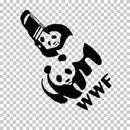 Image result for WWF Panda Chair Shot