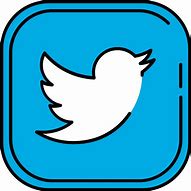 Image result for Twitter Logo SVG