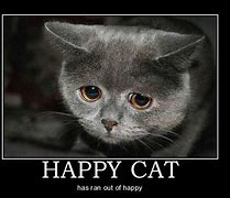 Image result for Happiness Meme Cat