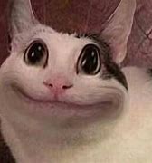 Image result for Black Cat Smiling Funny Meme