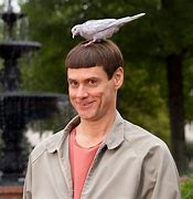 Image result for Jim Carrey Dumb and Dumber Images