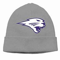 Image result for UNI Panthers Hat