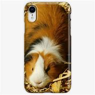 Image result for Guinea Pig Phone Case
