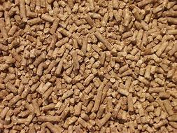 Image result for Beef Cattle Feed