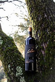 Image result for Cuvier Malbec