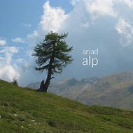 Image result for ALP Album