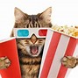 Image result for Popular Cat Movie