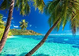 Image result for Vacation