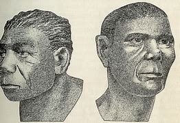 Image result for Aurignacian People