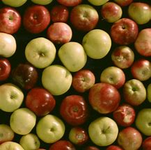 Image result for 5 Apples