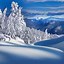 Image result for Christmas Scenery Pictures