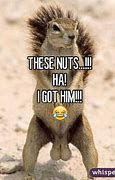 Image result for Chinnuts Meme