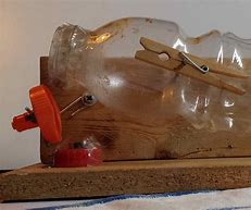 Image result for Homemade Mouse Trap