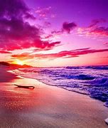 Image result for Sunset Pictures