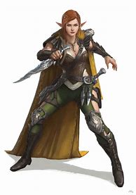 Image result for High Elf Rogue