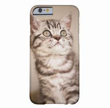 Image result for Cute Kittens iPhone 6 Cases