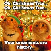 Image result for Funny Holiday Cat Memes