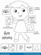 Image result for Image of a Boy with Five Senses