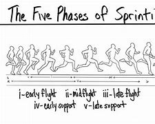 Image result for Sprinting Run Cycle