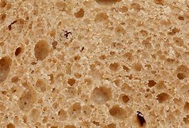 Image result for Grainy Texture Food