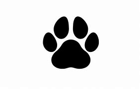 Image result for Panther Paw Print Real