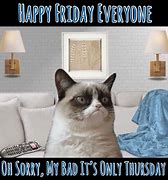 Image result for Grumpy Cat Friday Afternoon