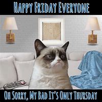 Image result for Grumpy Cat Memes Funny Thursday