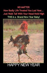Image result for New Year's Funny E-cards