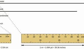 Image result for 9 Meter Long Things