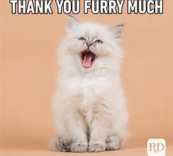 Image result for Thank You Funny Office Memes