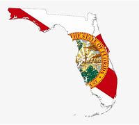 Image result for Florida State Flag Outline
