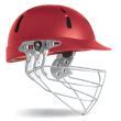 Image result for Albion Cricket Helmet