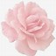 Image result for 10 Rose Gold