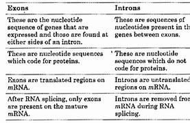 Image result for Introns and Exons