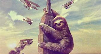 Image result for Funny Sloth Background Desktop
